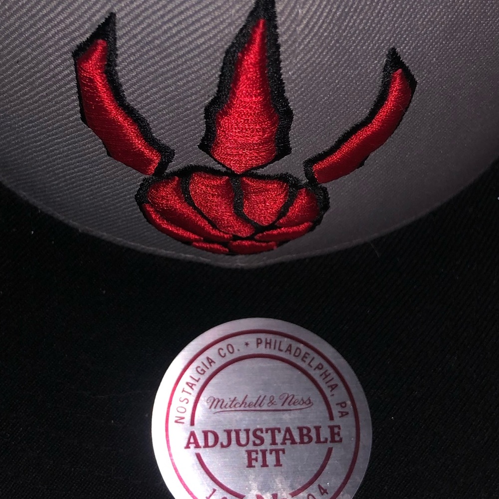 Toronto Raptors snap back. Mitchell and Ness
